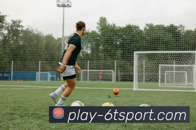 6T体育平台生态图