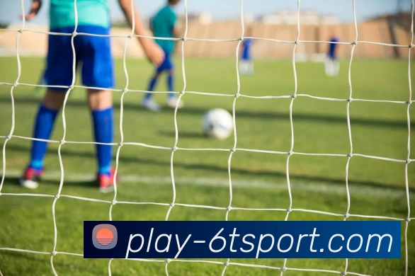 6T体育APP 封面图